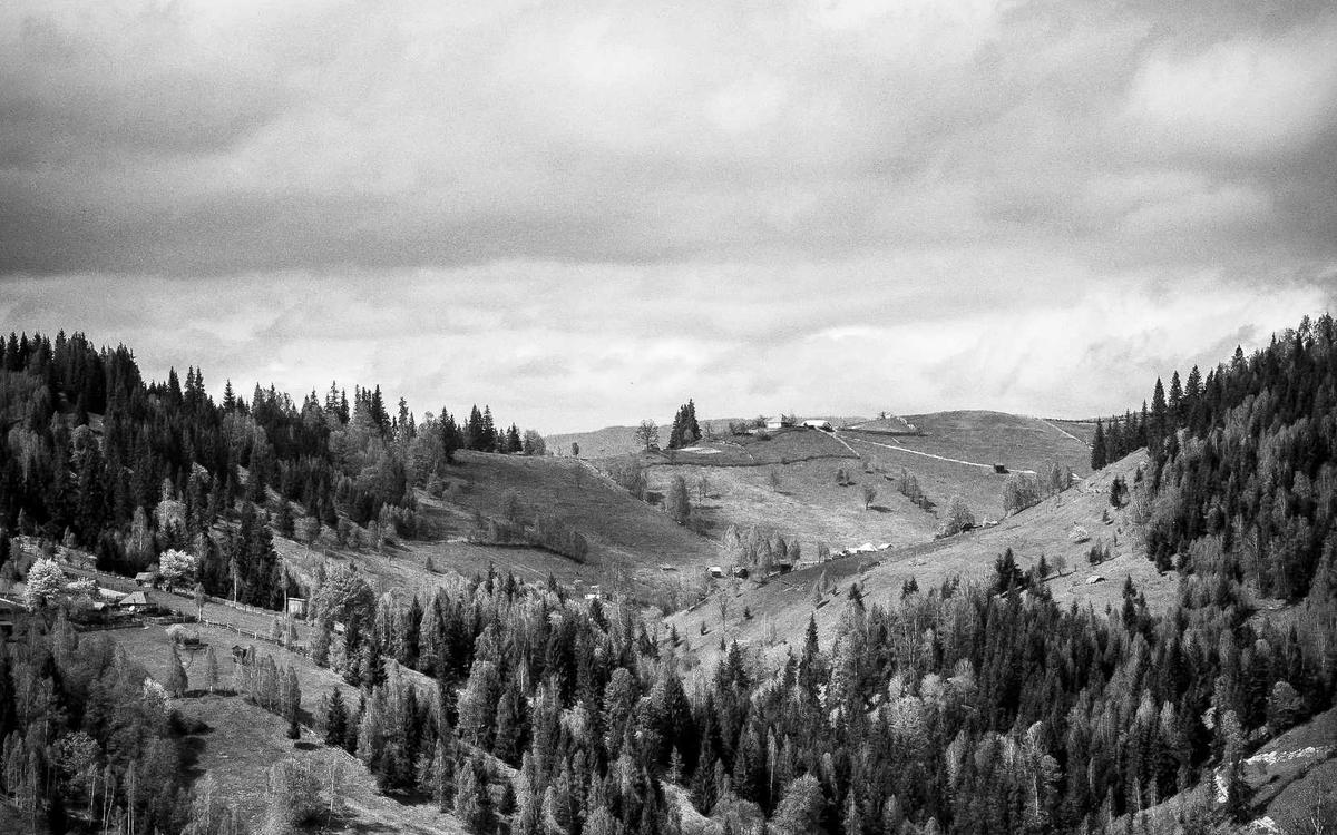 视频有硬字幕？效率打折扣！小宾视频文字消除器，AI一键去除水印Logo插图1
